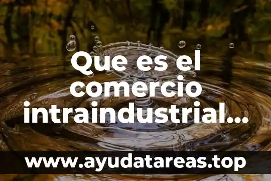Que es el comercio intraindustrial como ha crecido