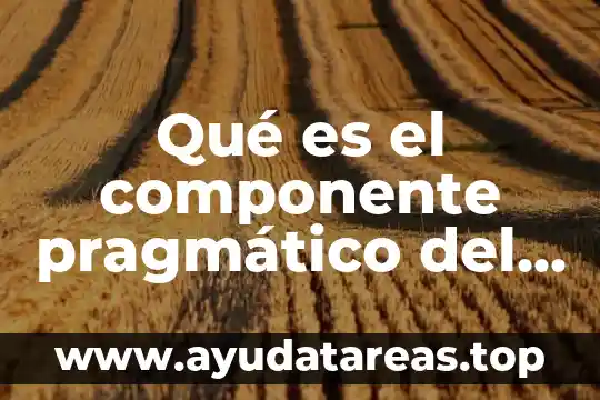 Qué es el componente pragmático del lenguaje