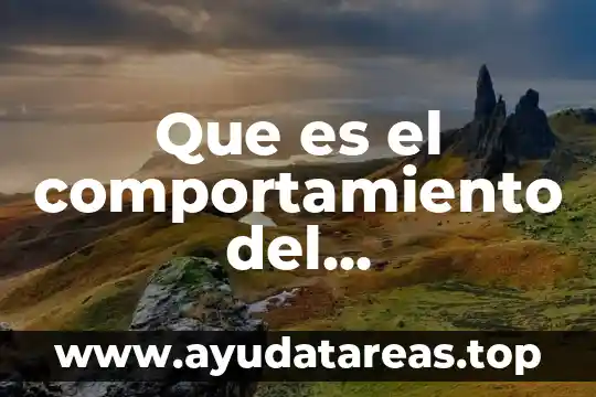 Que es el comportamiento del consumidor segun schiffman