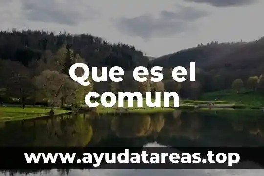Qué es un apodo común 7 Que es el comun
