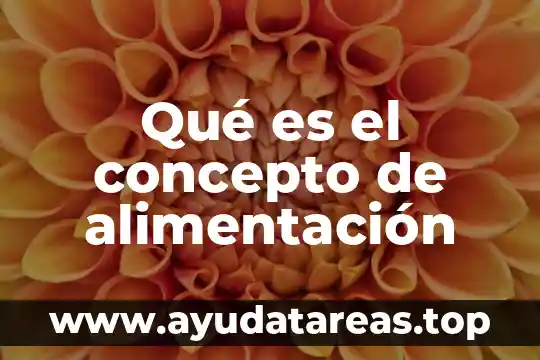 Que es la alimentacion como debemos alimentarnos para estar sanos 6 Qué es el concepto de alimentación