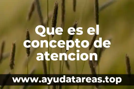 Que es un museo de sitio o local concepto 4 Que es el concepto de atencion