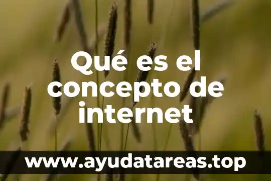 Qué es el concepto de internet