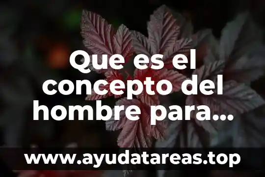 Que es un vicio segun aristoteles 3 Que es el concepto del hombre para aristoteles filosofo