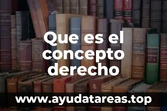 Que es el concepto derecho