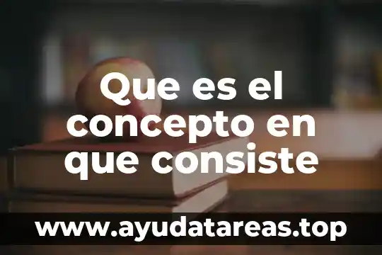 Que es el concepto en que consiste