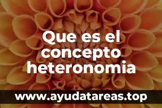 Que es el concepto heteronomia