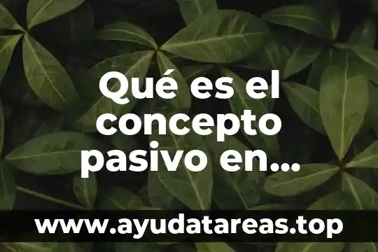 Qué es el concepto pasivo en contabilidad