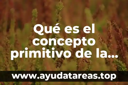 Qué es el concepto primitivo de la geometría