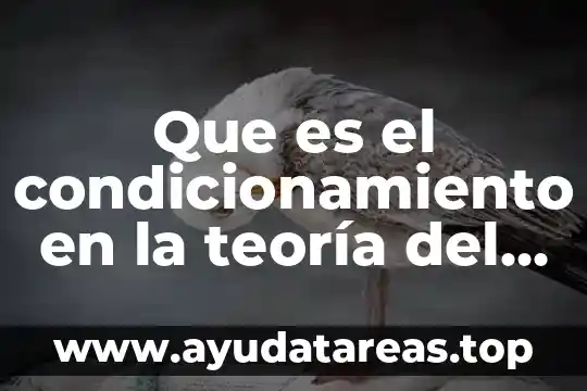 Que es el condicionamiento en la teoría del aprendizaje