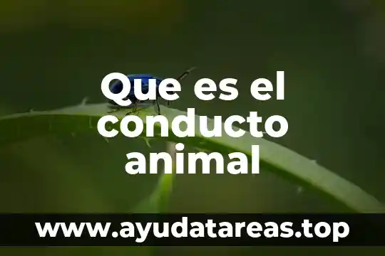 Que es un laboratorio de bromatologia animal 8 Que es el conducto animal