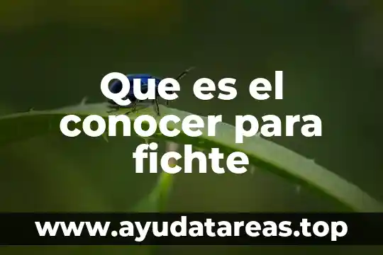 Que es el conocer para fichte