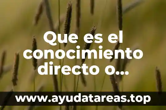 Que es el uso directo del agua 4 Que es el conocimiento directo o inmediato