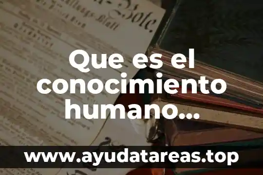 Qué es faceta espiral integral ion etc en power point 4 Que es el conocimiento humano filosofía power point