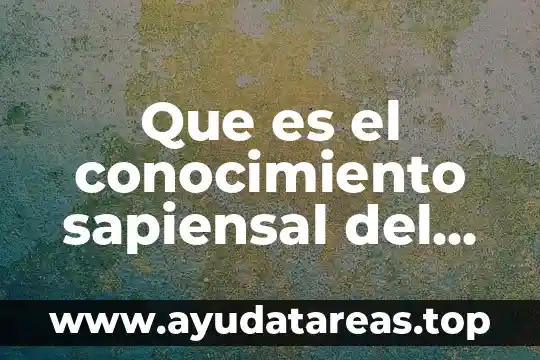 Que es el amor frases de jesus 6 Que es el conocimiento sapiensal del mensaje de jesus