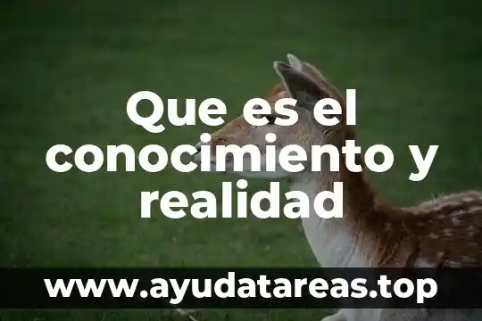 Conocimiento declarativo que es 3 Que es el conocimiento y realidad