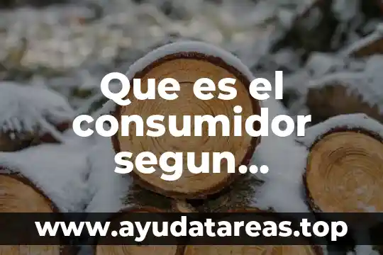 Que es el consumidor segun administracion