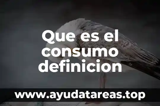 Que es el consumo definicion