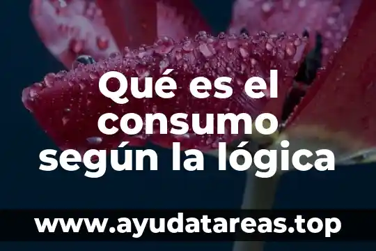 Qué es el consumo según la lógica