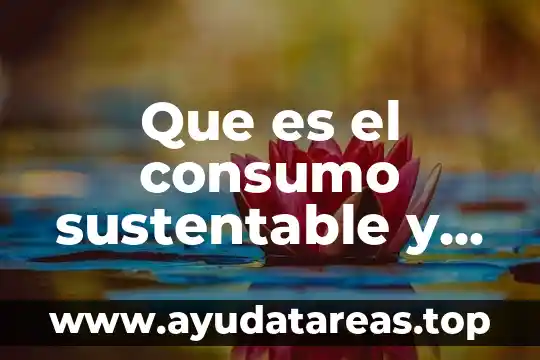 Que es el consumo sustentable y su importancia