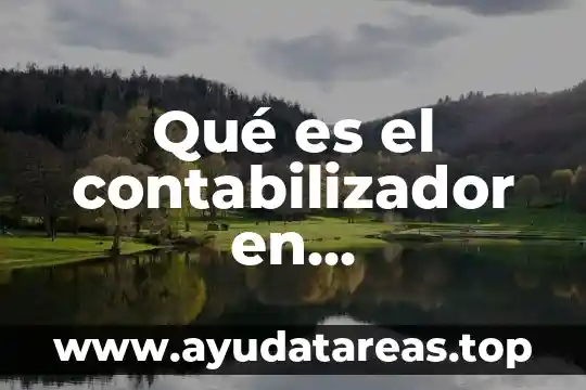 Que es implementación en contabilidad 4 Qué es el contabilizador en contabilidad