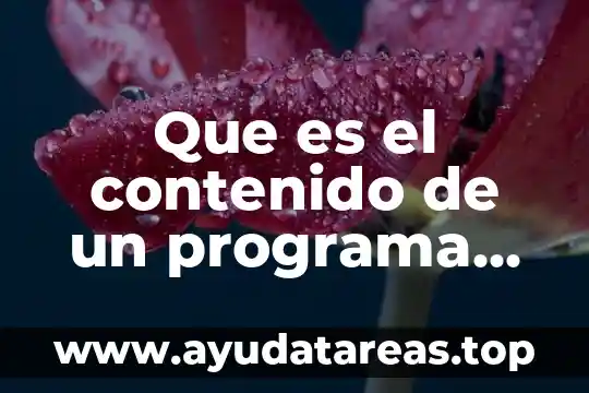 Que es el contenido de un programa de estudio