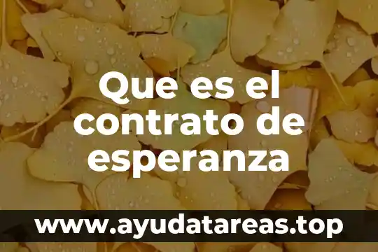 Qué es un convenio modificatorio de contrato 6 Que es el contrato de esperanza