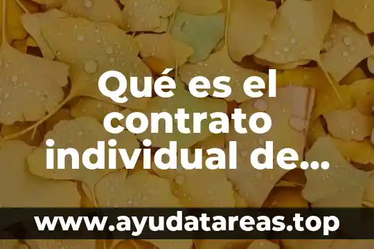 Qué es el contrato individual de trabajo señalar su inferencia