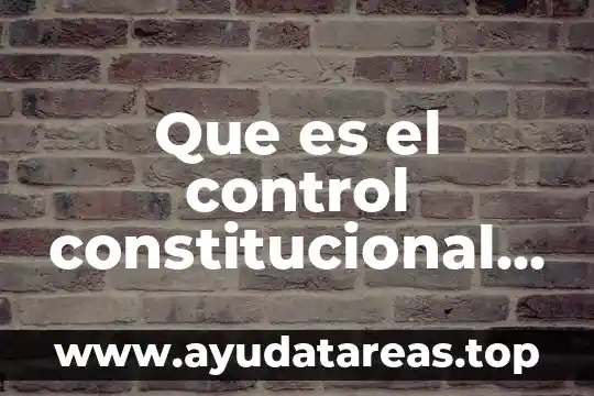 Que es el control constitucional por organo politico