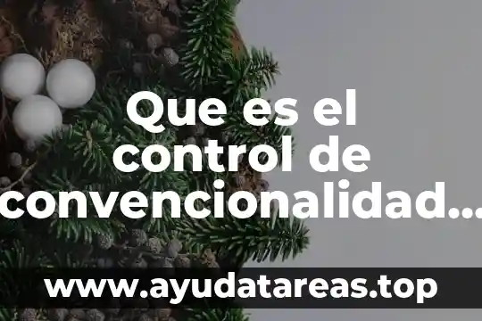Que es el control de convencionalidad biblioteca virtual unam