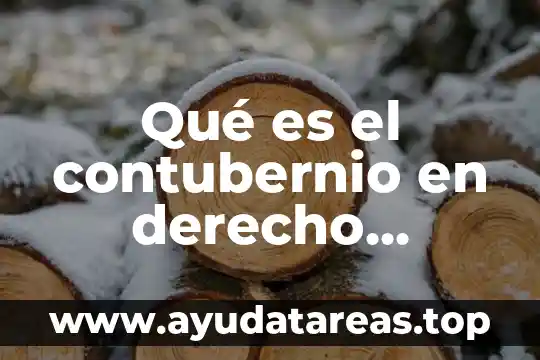 Que es el arte romano y griego 7 Qué es el contubernio en derecho romano