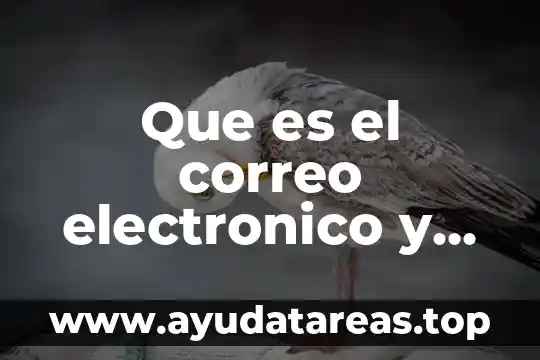 Que es correo electronico de cuentas para su creasion 5 Que es el correo electronico y sus aspectos