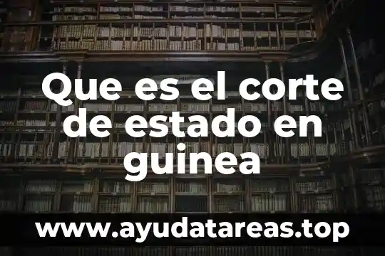 Que es el corte de estado en guinea