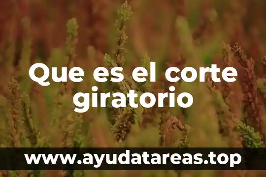Que es el corte giratorio