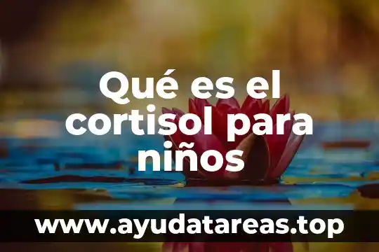 Que es el astro sol para niños 7 Qué es el cortisol para niños