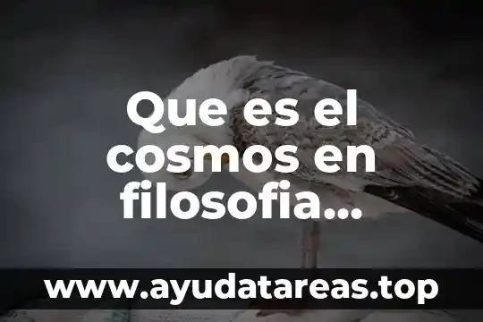 Que es el cosmos en filosofia dibujos