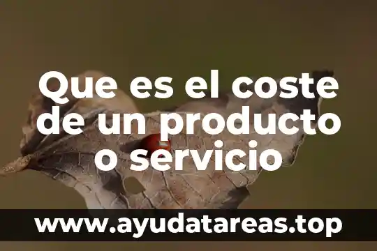 Que es el coste de un producto o servicio