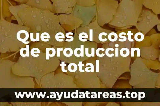 Que es el cloro total en el agua 7 Que es el costo de produccion total