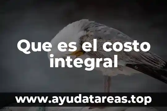 Que es el costo integral