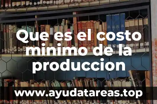 Que es el costo minimo de la produccion