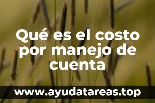 Qué es el costo por manejo de cuenta