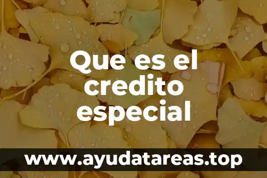 Que es el credito especial