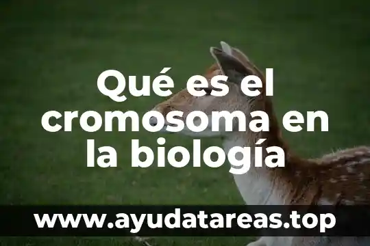 Que es la gran cadena del ser biologia 5 Qué es el cromosoma en la biología