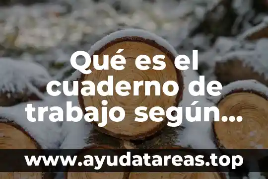Qué es el cuaderno de trabajo según la redacción