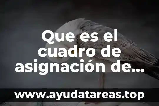 Que es aseo personal en niños 7 Que es el cuadro de asignación de personal cap