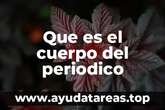 Que es el cuerpo del periodico
