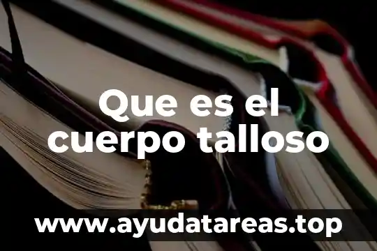Que es fetiche en el cuerpo 6 Que es el cuerpo talloso