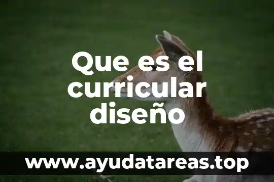 Que es el curricular diseño