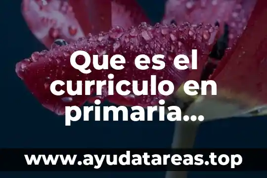 Que es el curriculo en primaria ejemplo