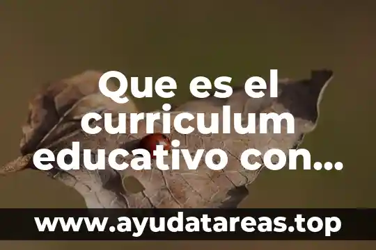 Educativo que es el sistema de gronholm 3 Que es el curriculum educativo con referentes teóricos